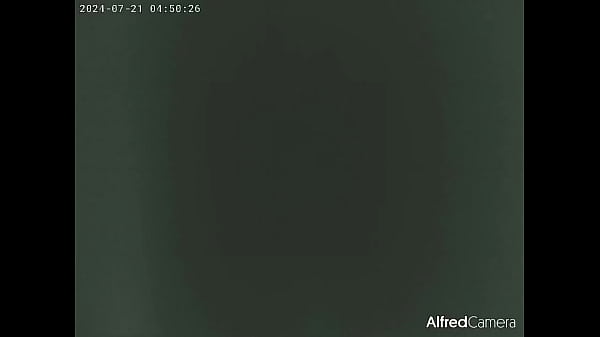 V&iacute_deo de verificaci&oacute_n