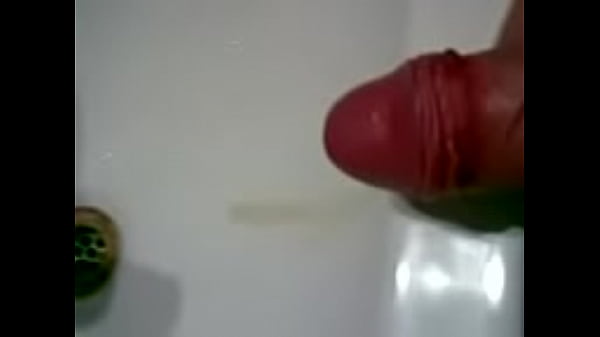 Poronga lechera
