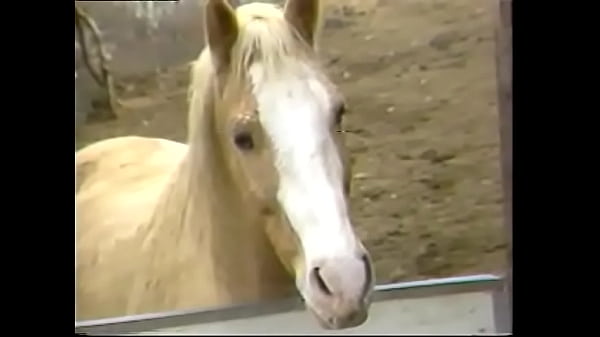 Blonde Beauty Gets Her Wet Pussy Stuffed With Hard Cock Outdoors thumbnail