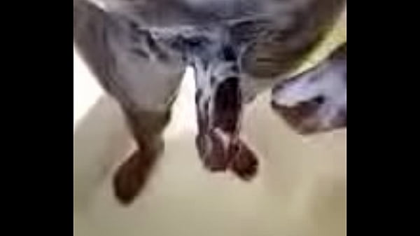 Nonton Shower Jack Off thumbnail