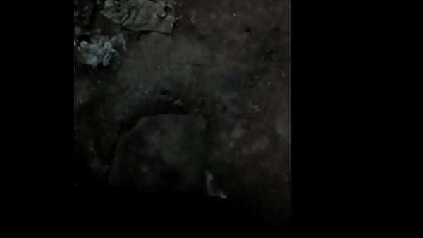 Toro shakes in the floor