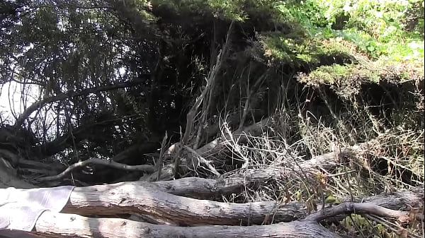 She Prefers To Get Down Out In The Wild Where The Roots And Limbs Of The Tees Embrace The... thumbnail