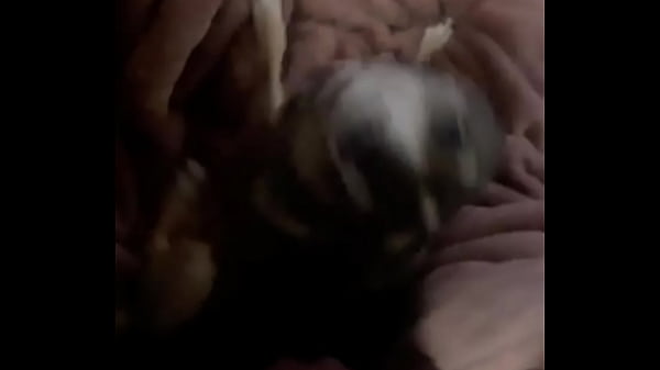 Nonton Braxton Makes Everything Better ️ thumbnail