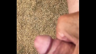 Took a Viagra. Getting frisky now