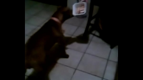 Nonton Vid 20150511 204154 418 (4) thumbnail