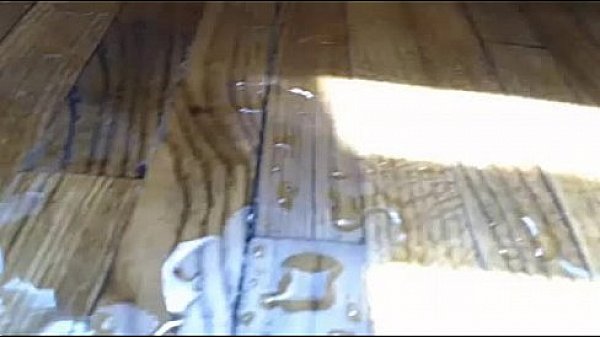 Nonton 4597751 28 thumbnail