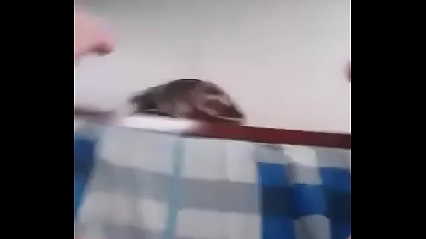 Trai Vietnam Suc Cac Ren Rit 04 thumbnail