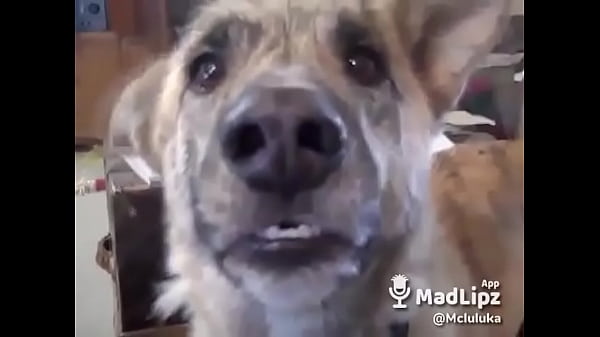 Nonton Video Porno Part 42405197 thumbnail