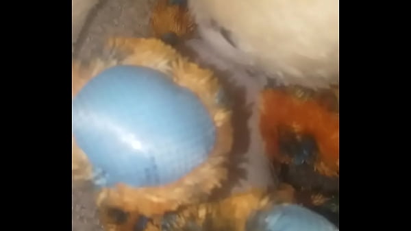 Tiger Here thumbnail