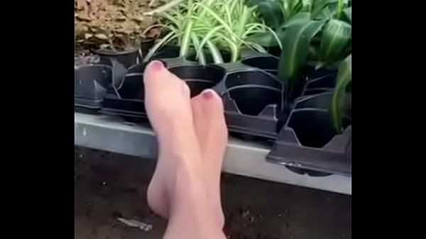 Pantyhose Wife thumbnail