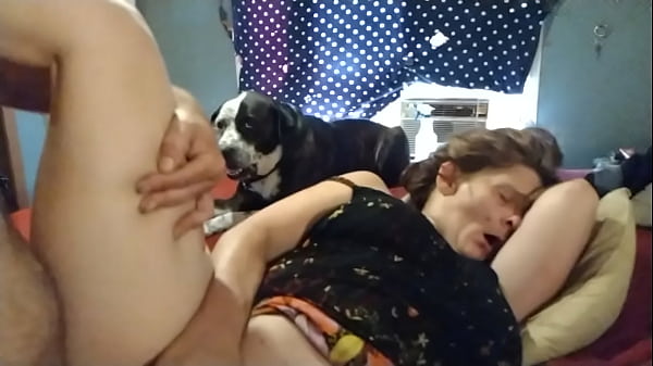 My girl enjoys her new toy 