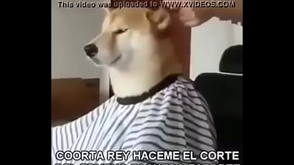 V&iacute_deo de verificaci&oacute_n
