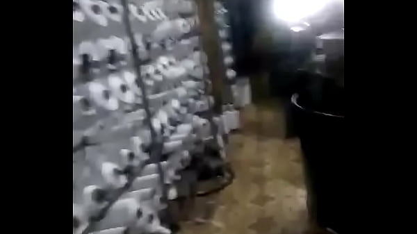 Verification video