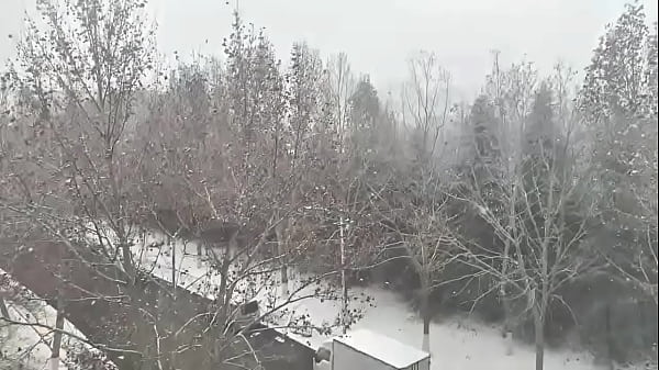 验证视频 thumbnail