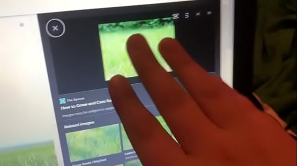 how to touch grass