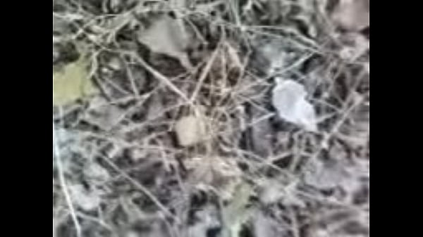 Clavada-ucv thumbnail