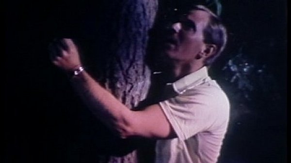 Vca Gay - La Tool thumbnail