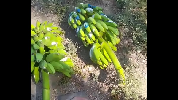 Follando Rico Con Mi Suegra Antes Que Venga Mi Novia thumbnail