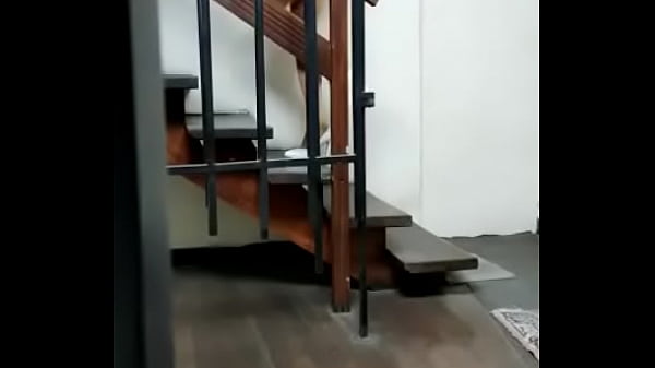 Travita ofrece servicios de