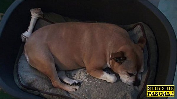 British Slut Jessica Dominated With Roughsex thumbnail