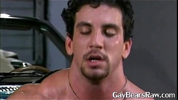 Muscular Bears Ass Breeding thumbnail