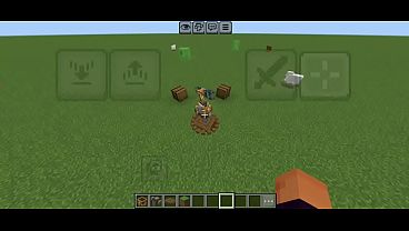 V&iacute;deo de verifica&ccedil;&atilde;o 