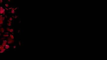 Nonton Public Nudist Beach Intense Squirting Compilation Risky Outdoor French Teacher thumbnail