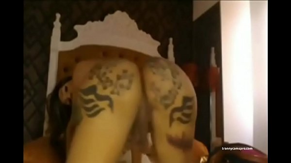 Ebony Tranny With A Tatted Ass Twerks And Chills ( She'_s A 10 )