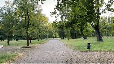 A Couple In Love Is Having Rough Fucking In Public In The Park thumbnail