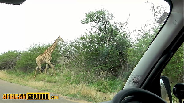 Dark Skin Ebony Teen Saw An Elephant And A Giraffe And Got Horny thumbnail