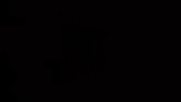 Nonton Bambolina Helped Us To Decorate The Room For A Party. thumbnail