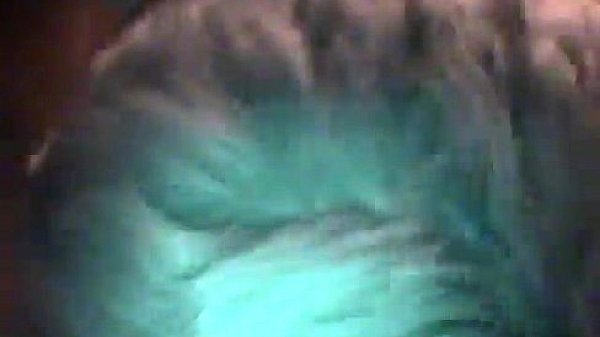 Hot Gay Sex But This Time, Trace Has Ultra-cutie Nathan All To thumbnail