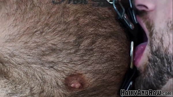 Bearded Hairy Gay Dominates Hung Lover thumbnail