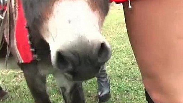 Nonton Dirty Boobed Carmen In Radical Hard Core thumbnail