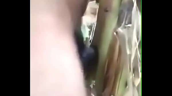 Vid-20170730-wa0023 thumbnail