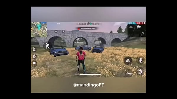 Todo de todo