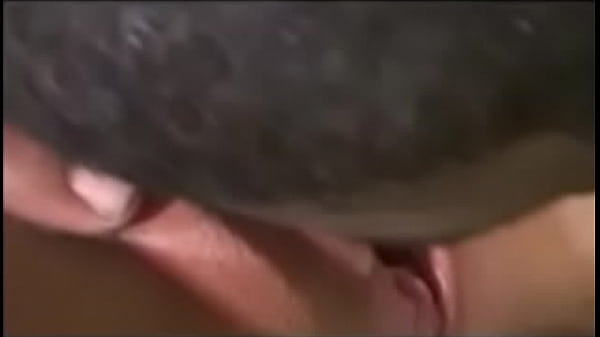 n. cocks in small white sluts