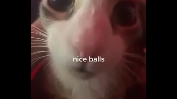 Good Balls thumbnail