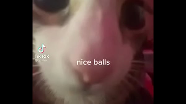 Nonton Good Balls thumbnail