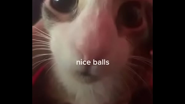 Nice balls