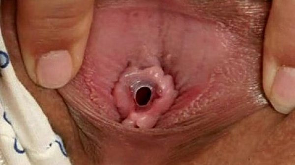 Nonton Colegiala Virgen thumbnail