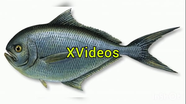 Video di verifica