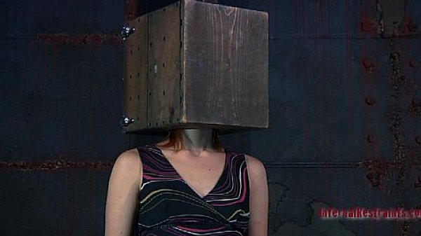 Sadomasochism training porn 