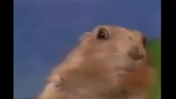 Video de Youtuber Mais famoso que o cellbit sobre minecraft 