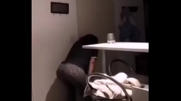 Nonton La Putita De Sofi Maure Perreando thumbnail