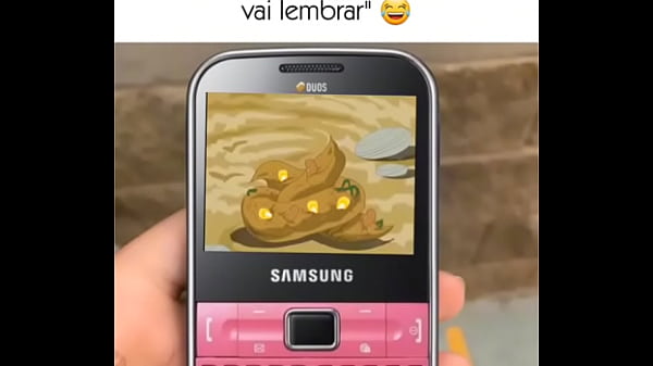 V&iacute_deo de verifica&ccedil_&atilde_o