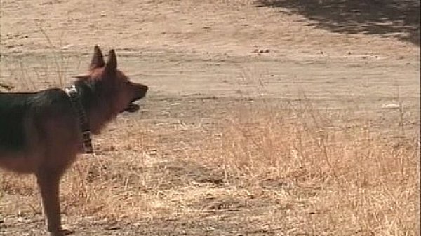 Good Couple Outside Sex thumbnail