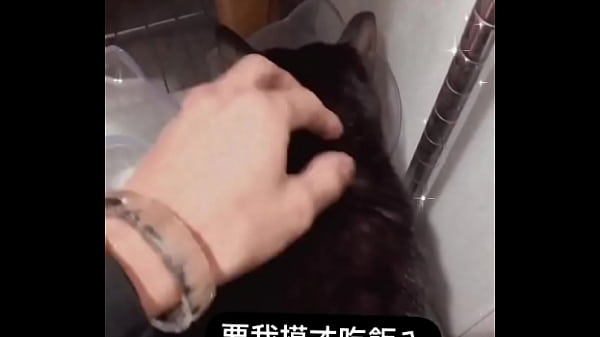 验证视频