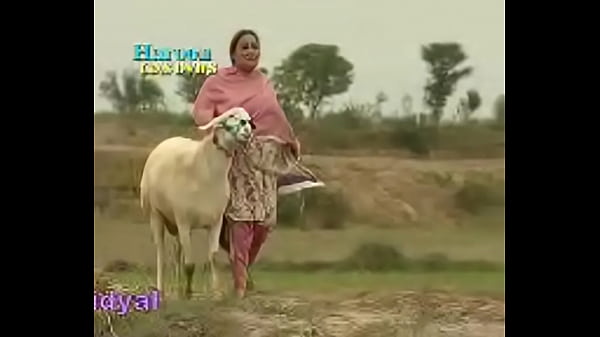 Nonton Dup(01)dand 5 Lakhiya thumbnail