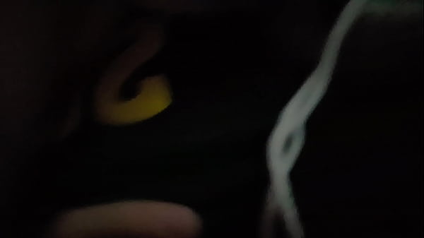 V&iacute_deo de verificaci&oacute_n
